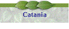 Catania