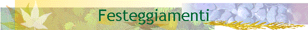 Festeggiamenti