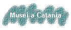 Musei a Catania