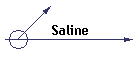 Saline