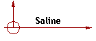 Saline