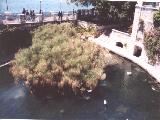 Fonte Aretusa