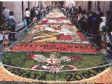 Infiorata di Noto